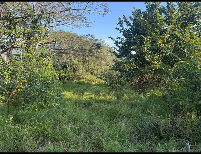 LAND FOR SALE IN ZINI RIVER ESTATE